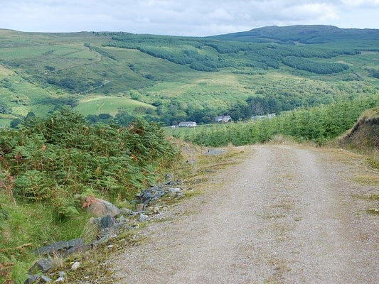 Photo 6x4 Looking down the forest road Barr Water\/NR7037 The buildings a c2010