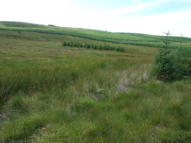 Photo 6x4 Moorland and new forestry Cnoc Reamhar\/NR7035 Not the easiest  c2010