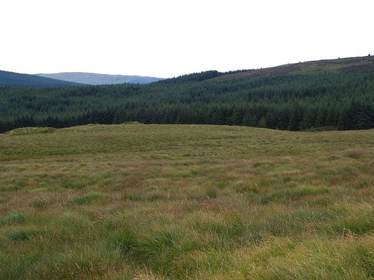 Photo 6x4 Edge of the forest Cnoc Eoghainn Looking across moorland into t c2010