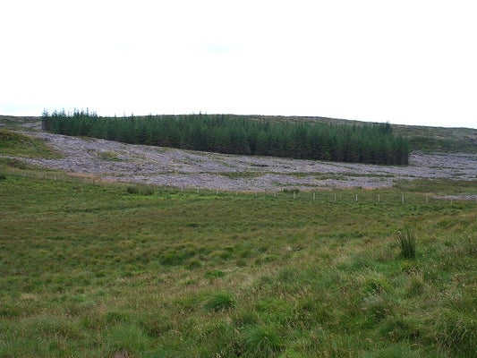 Photo 6x4 Forest boundary Cnoc Reamhar\/NR7035 The fence marks the bounda c2010