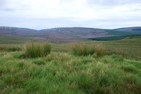 Photo 6x4 Moorland view Cnoc Reamhar\/NR7035 Looking across open moorland c2010