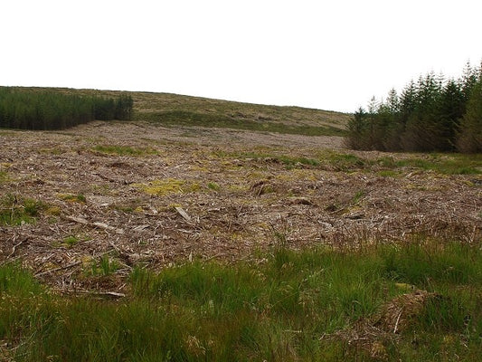 Photo 6x4 Cleared forestry Cnoc Reamhar\/NR7035 Surprisingly clear of sma c2010