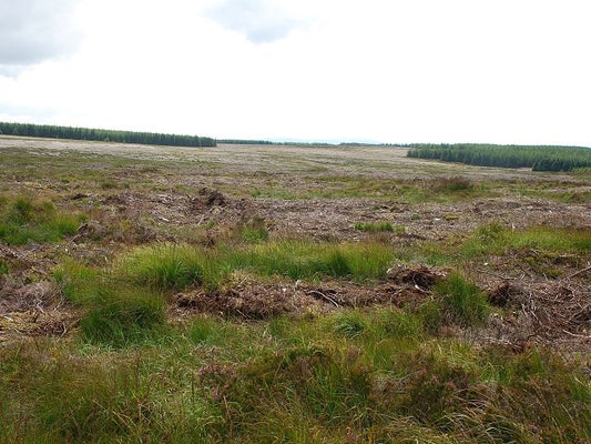 Photo 6x4 Cleared forestry Glenbarr To aid navigation today, I was using  c2010