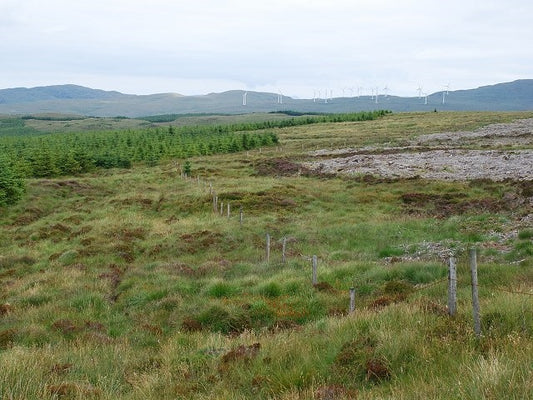 Photo 6x4 The meeting of two forests Glenbarr Privately-owned to the left c2010