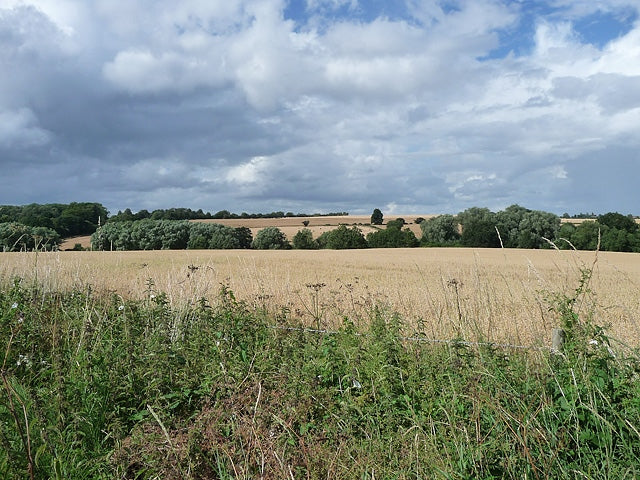 Photo 12x8 Penny Hill Barrachan\/NX3649 View from the side of the hill acr c2010