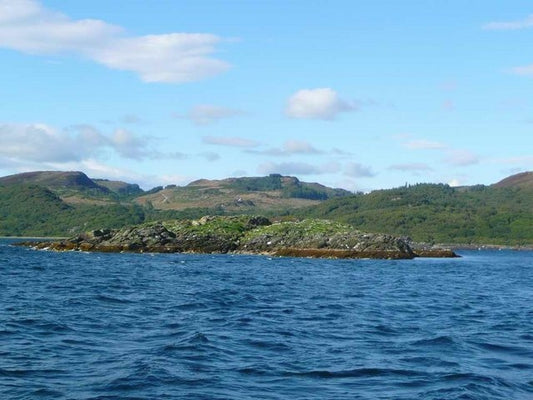 Photo 6x4 Eilean Buidhe Portavadie This small island lies on the approach c2010