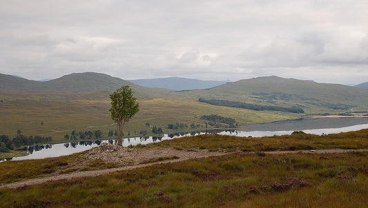 Photo 6x4 West Highland Way above Loch Tulla Bridge of Orchy Almost at th c2010