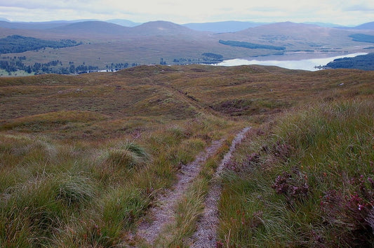 Photo 6x4 Path on Mam Carraigh Bridge of Orchy The path joins the W Highl c2010