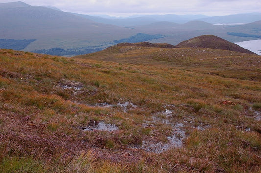 Photo 6x4 Midge territory near Ben Inverveigh Bridge of Orchy Wet and aci c2010