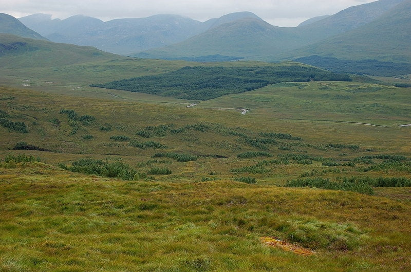 Photo 6x4 Planted areas above Allt Orain Bridge of Orchy Clumps of trees  c2010