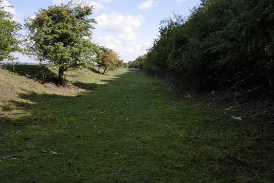 Photo 6x4 Old railway cutting Eastwell\/SK7728 This view is looking along c2010