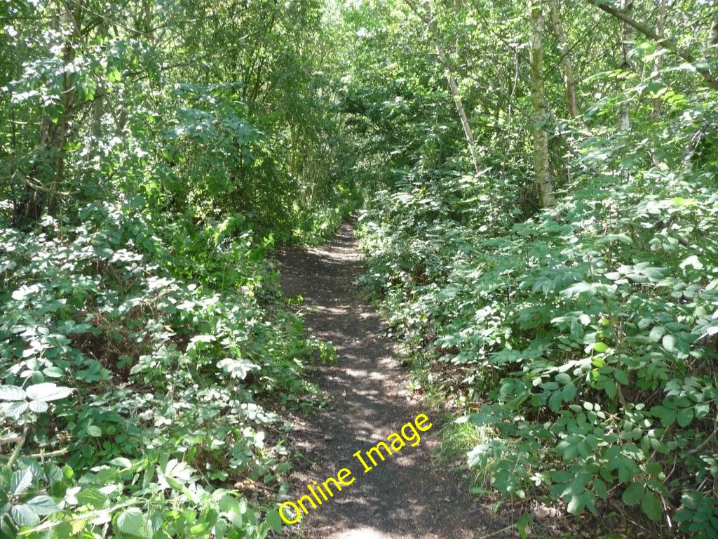 Photo 6x4 Former railway line, now a path Methley Junction This line had  c2010