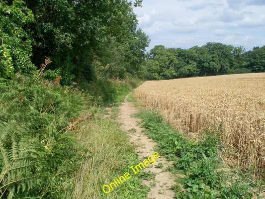 Photo 12x8 Out of the woods Hidcote Bartrim The Heart of England Way long  c2010