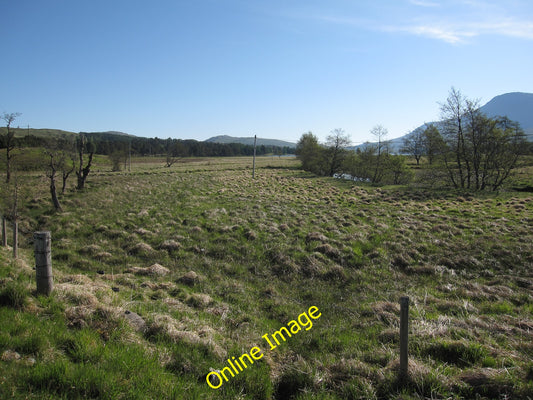 Photo 12x8 Boggy area by Allt Tolaghan Bridge of Orchy Looking towards Loc c2010