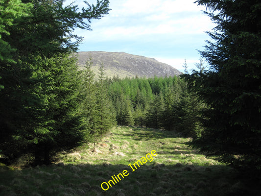 Photo 12x8 Plantation by Abhainn Shira Looking up towards Beinn Toaig. c2010