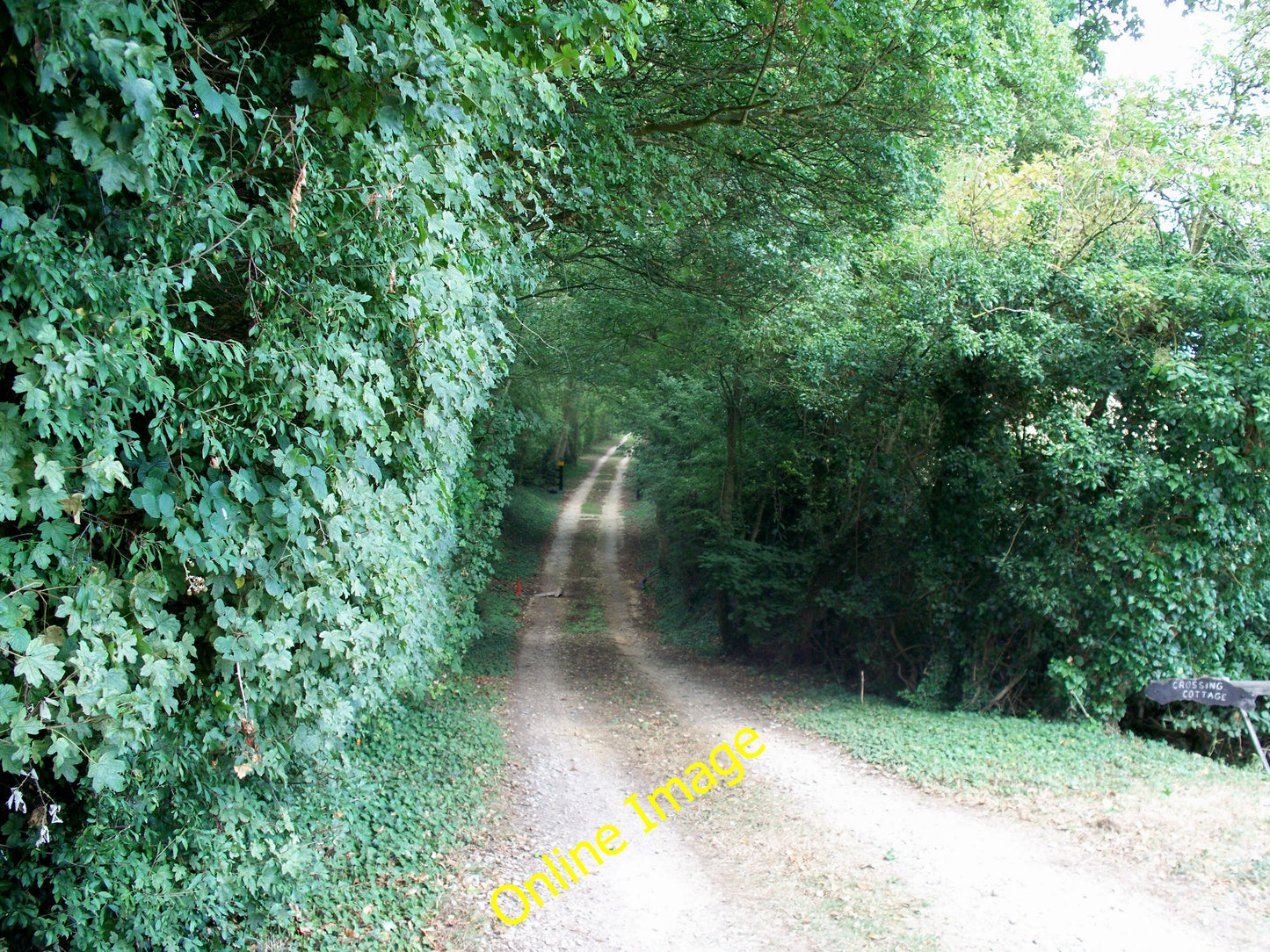 Photo 6x4 Once were trains Lower Lemington Looking north along the trackb c2010