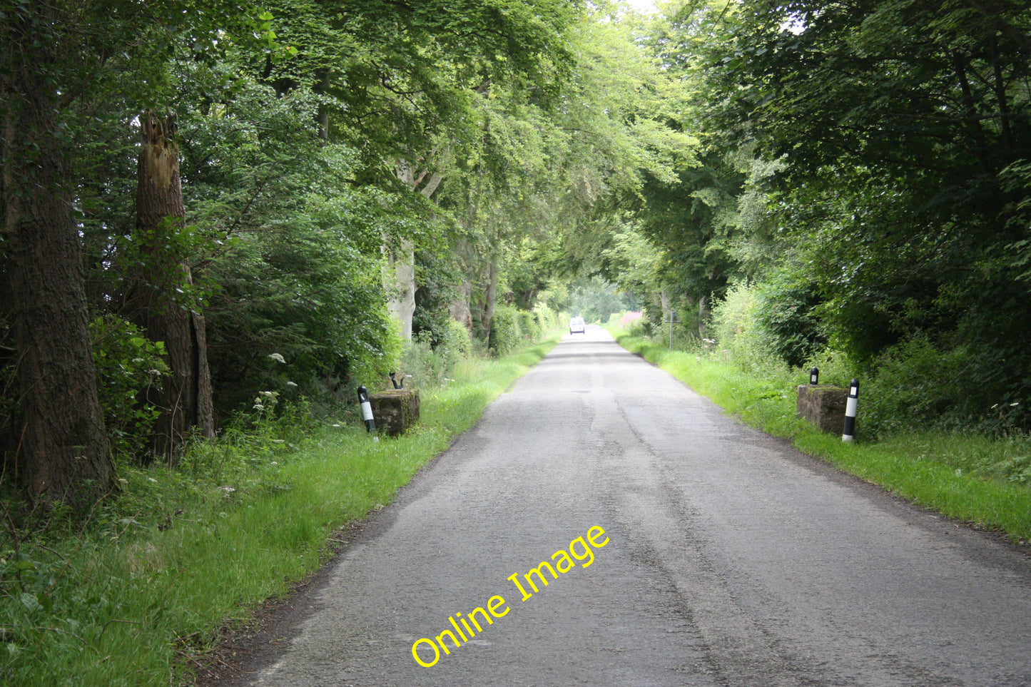 Photo 12x8 The road to Kildary Arabella Taken from the junction of the roa c2010