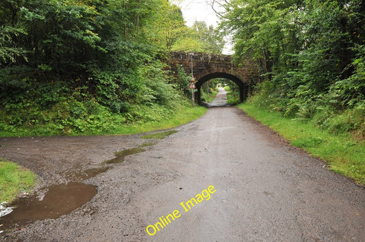 Photo 6x4 Railway bridge at Resaurie Beechwood\/NH6944  c2010