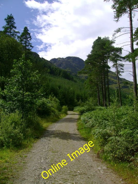 Photo 12x8 Forest track heading towards The Brack Ardgartan Heaidng up Gle c2010