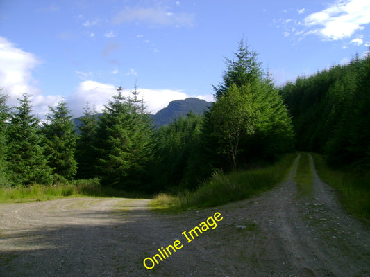 Photo 12x8 Forest track junction High Glencroe A forest track junction in  c2010