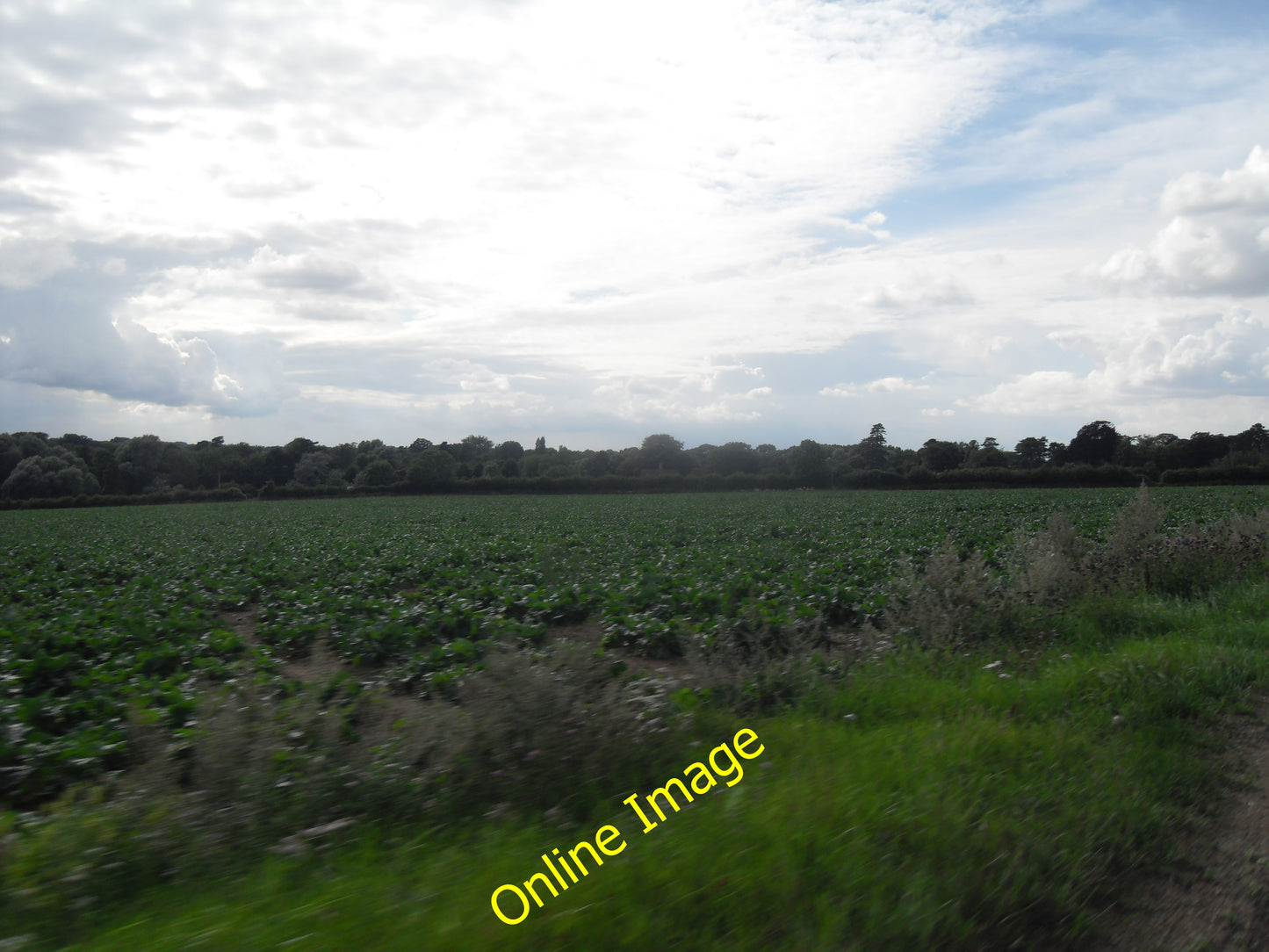 Photo 12x8 Fields near Hildersham  c2010