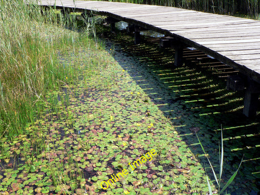 Photo 12x8 Boardwalk shadows - Cosmeston Lakes Penarth\/ST1871  c2010