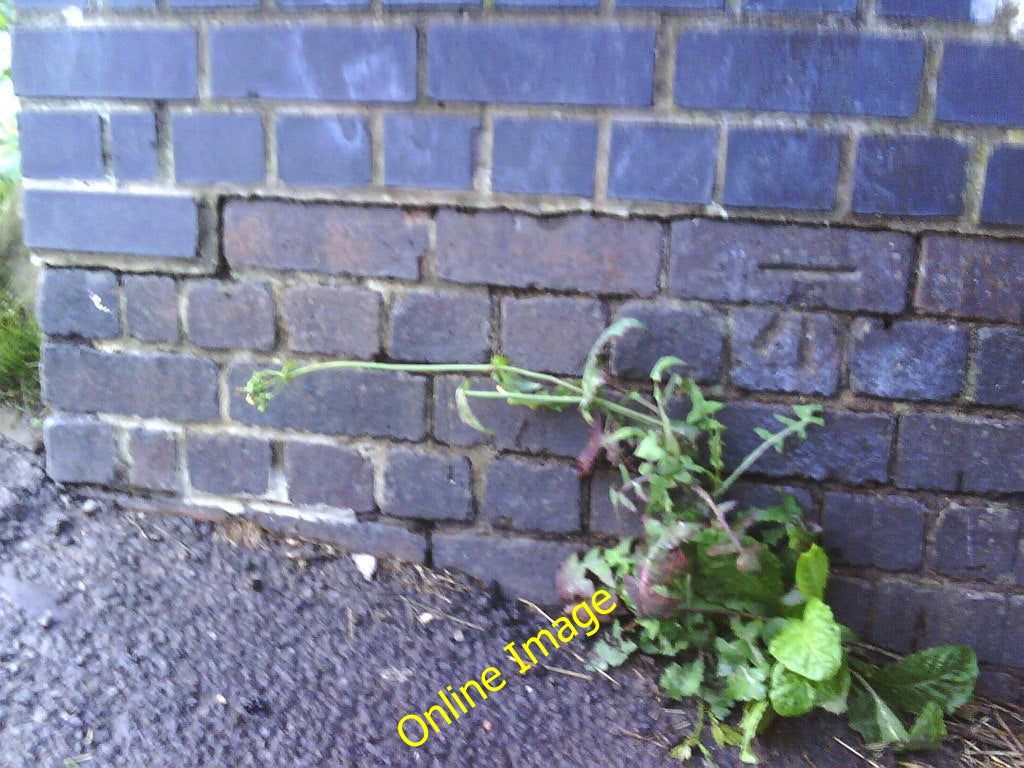 Photo 6x4 Benchmark on Railway Bridge east of Ashley Down Road Bristol Ph c2010