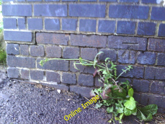 Photo 6x4 Benchmark on Railway Bridge east of Ashley Down Road Bristol Ph c2010