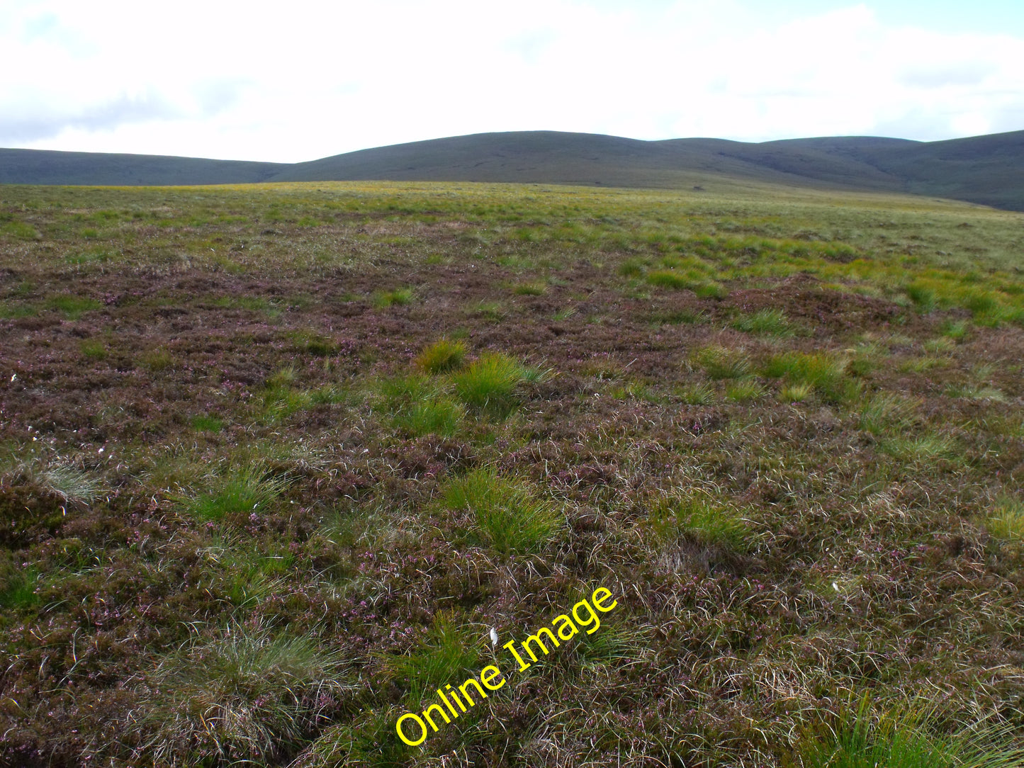 Photo 12x8 Looking west along the north slopes of point 457 near Lothbeg C c2010