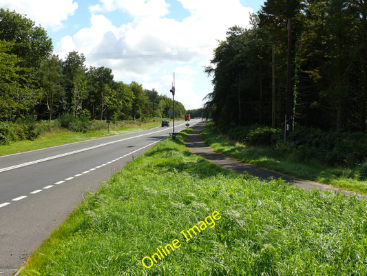 Photo 12x8 Planting End Castle Kennedy\/NX1059 View along the A75 in the d c2010