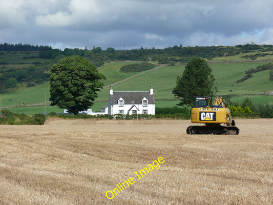 Photo 12x8 Cat asleep in a field. Dunragit This shot is of Tonnachrae Farm c2010