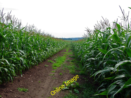 Photo 12x8 Cornfield at hanyards Ingestre Rugeley power station on the sky c2010