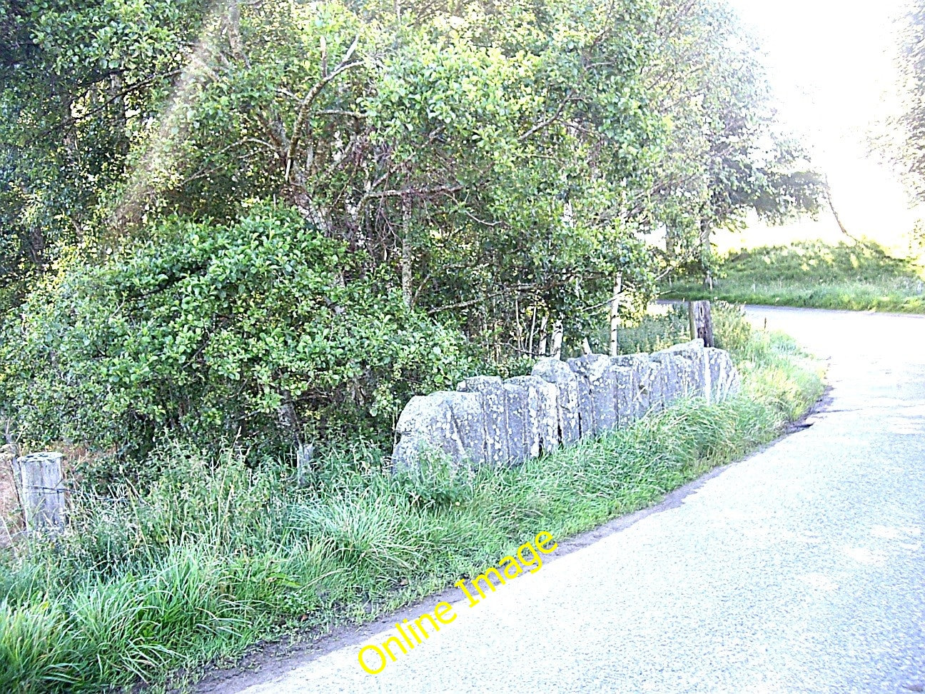 Photo 6x4 Parapet of bridge over Howe Burn Coynach  c2010