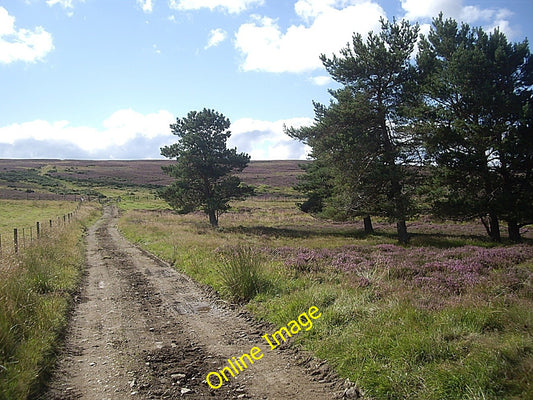 Photo 6x4 Track to the moor Towie\/NJ4312  c2010