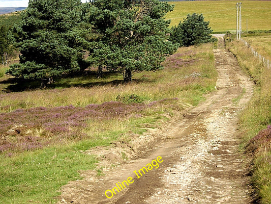 Photo 6x4 Track off the moor Towie\/NJ4312  c2010