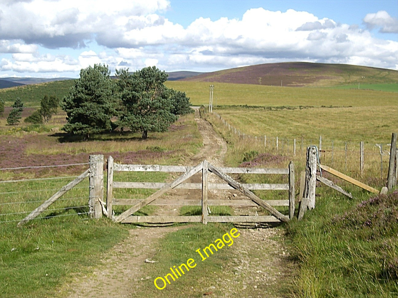 Photo 6x4 Exit from the moor Towie\/NJ4312  c2010