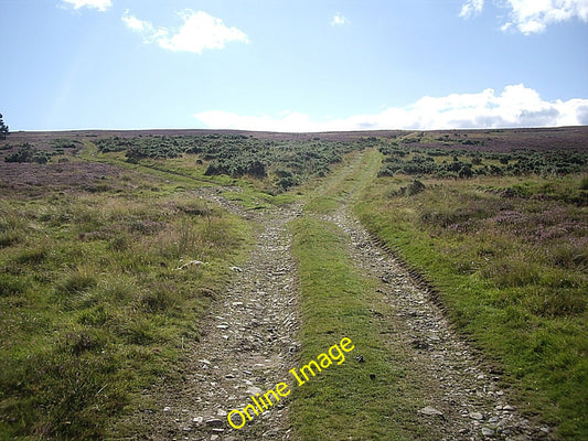 Photo 6x4 Track junction on flank of Gallows Hill Towie\/NJ4312  c2010