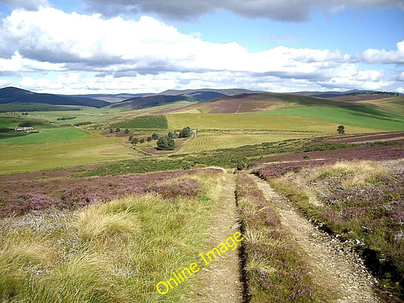 Photo 6x4 Descent of Gallow Hill Towie\/NJ4312  c2010