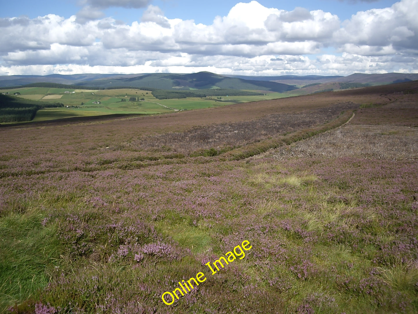 Photo 6x4 View NW from a grouse butt on Gallows Hill Towie\/NJ4312 With t c2010