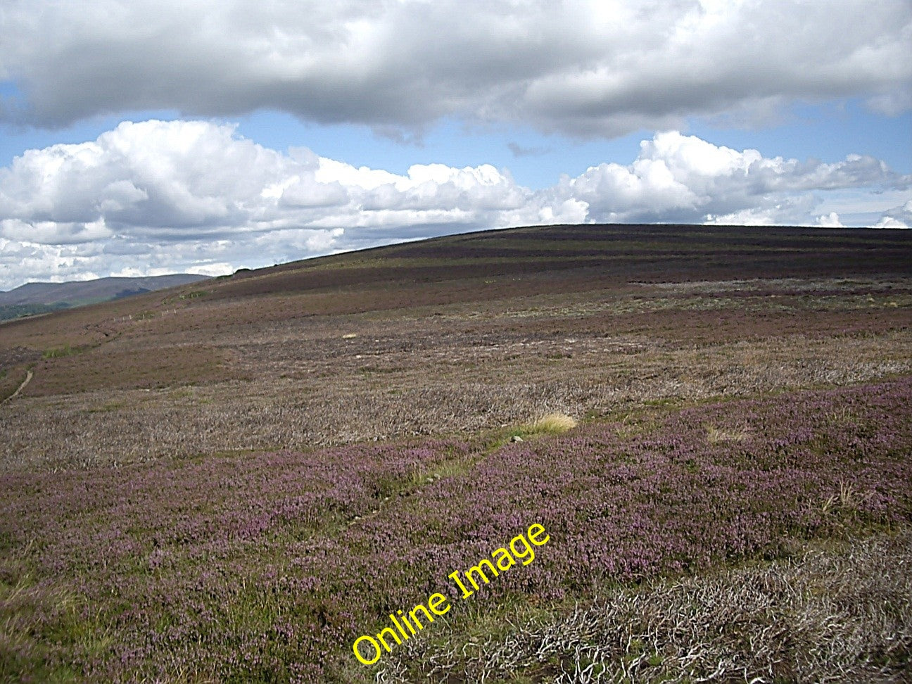 Photo 6x4 Gallows Hill summit Towie\/NJ4312 As seen from the highest poin c2010