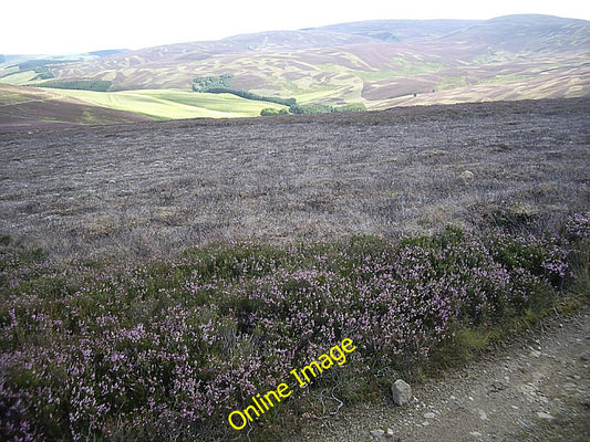 Photo 6x4 Managed heather above Auldtown Migvie Regrowth after controlled c2010