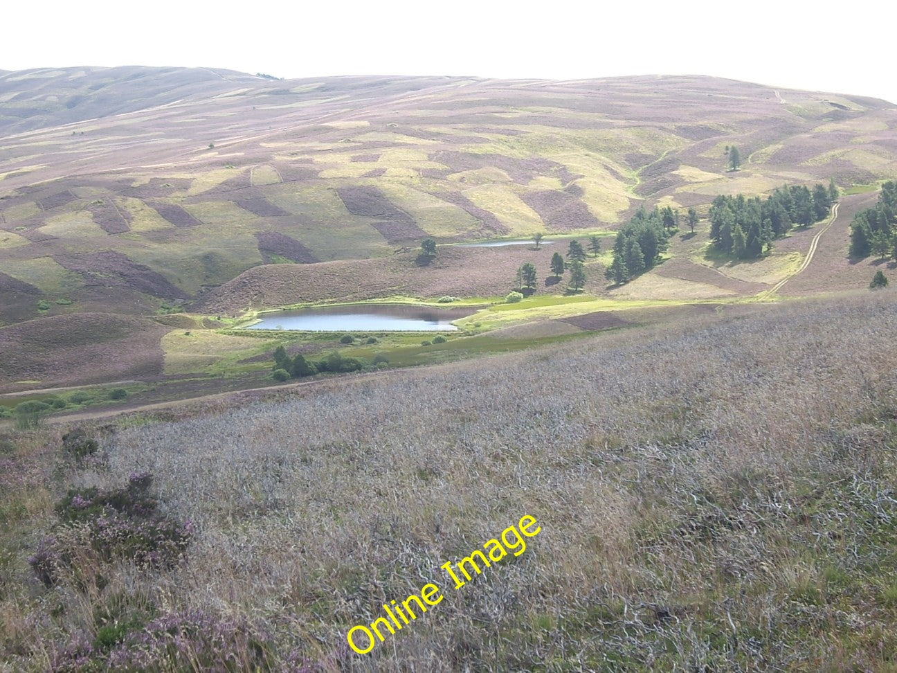 Photo 6x4 Lazy Wells lochs Migvie Seen from high up on the Rippachie to T c2010