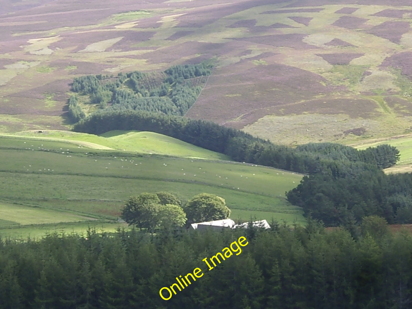 Photo 6x4 View to Auldearn and adjacent woods Migvie From the Rippachie t c2010