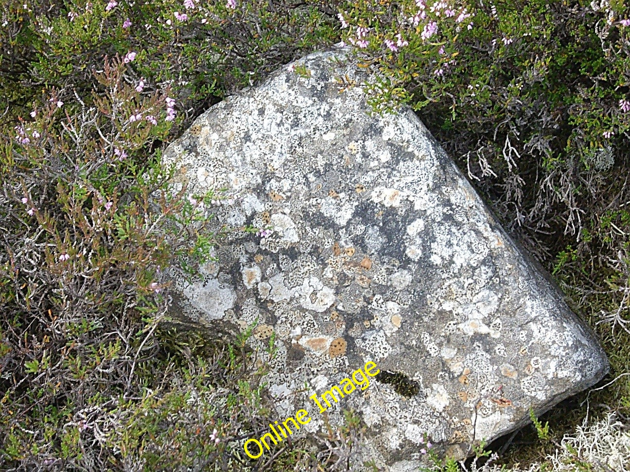 Photo 6x4 A lichen-covered granite block Migvie Laid amongst the heather  c2010