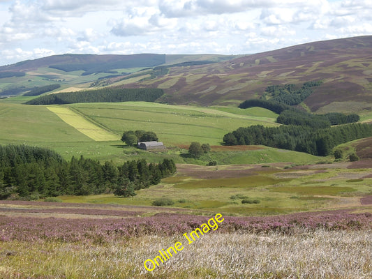 Photo 6x4 View over a plantation to Auldtown Migvie From the track to Laz c2010