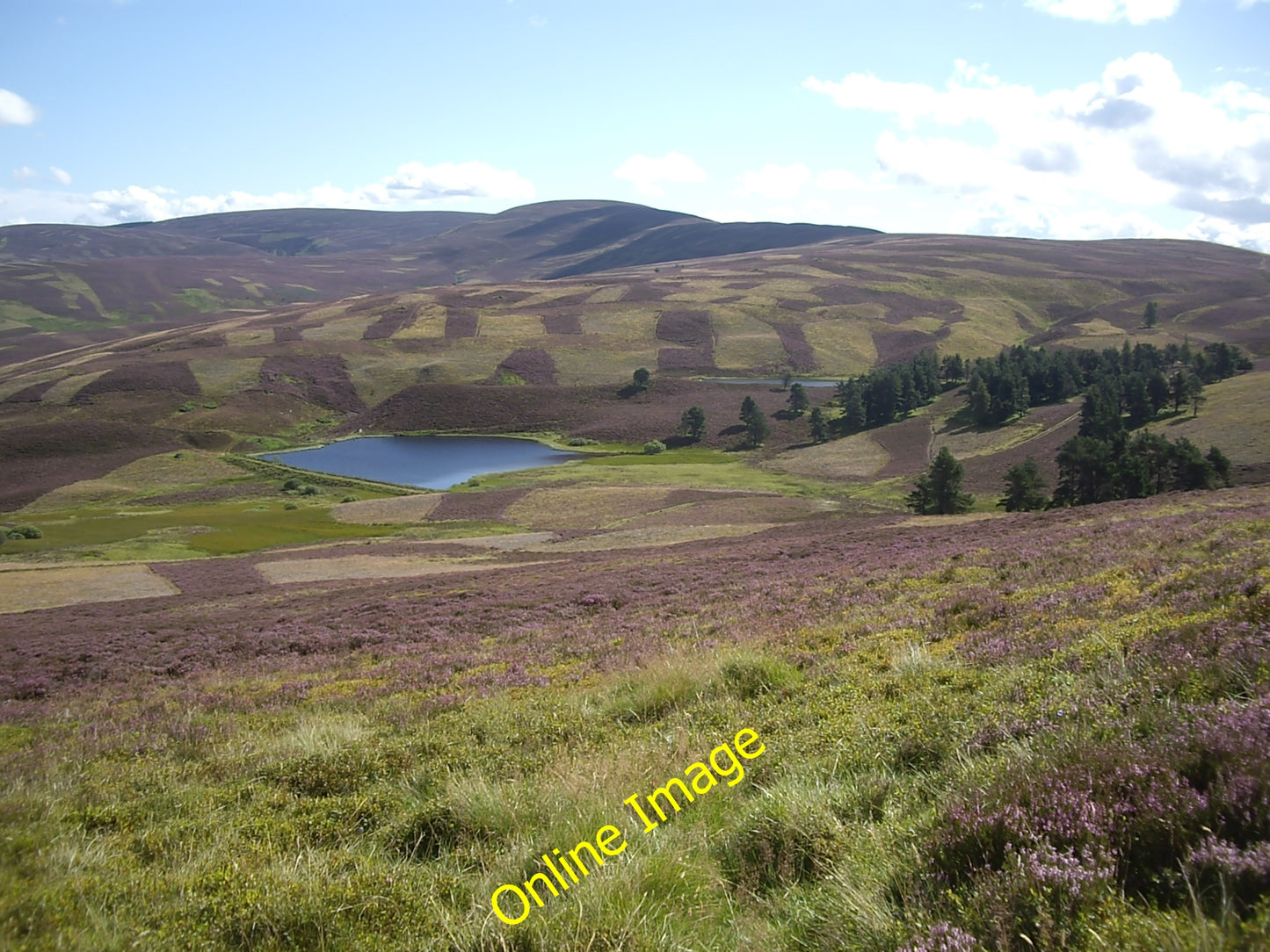 Photo 6x4 Lazy Well lochan dam Migvie  c2010