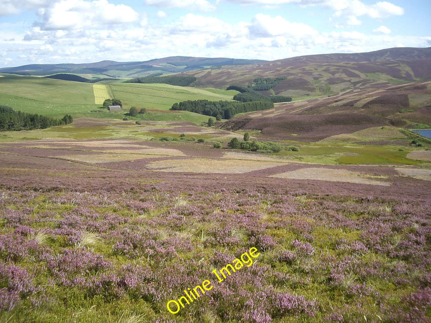 Photo 6x4 Drumquhil Burn Migvie At foot of Baderonoch and flowing by Auld c2010