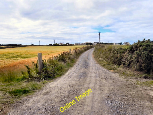 Photo 6x4 Lloyds Road, Lizard The lane towards the signal station at Bass c2010