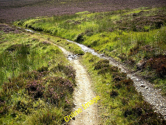 Photo 6x4 Ford on track to Tarland Migvie Crossing a wee burn flowing dow c2010