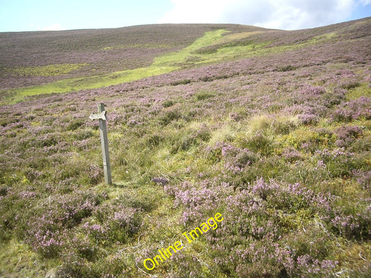 Photo 6x4 View up Baderonoch Migvie The grassy line is where the burn run c2010